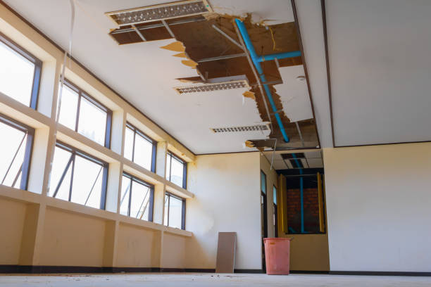 Water damage restoration mold remediation in Burns, TN