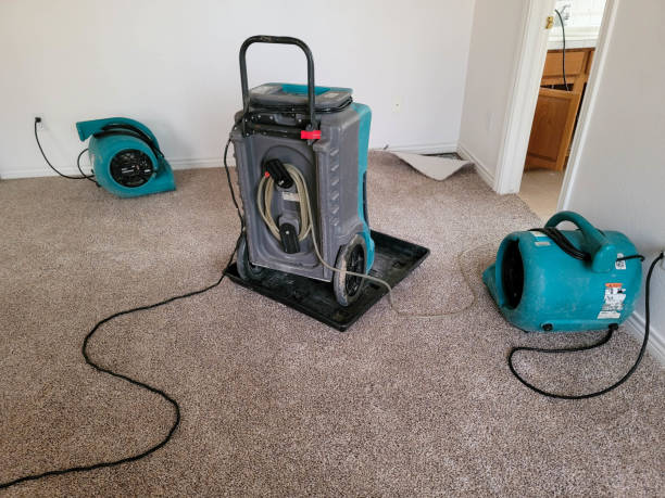 Best Water damage cleanup near me  in Burns, TN