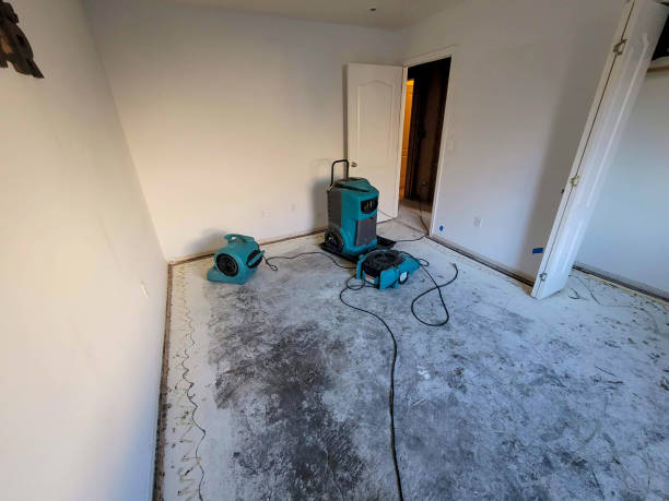 Best 24/7 water damage repair  in Burns, TN