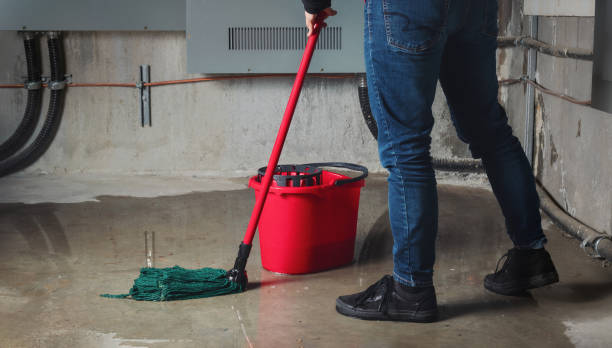 Best Ceiling water damage repair  in Burns, TN