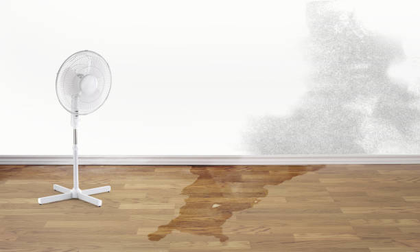 Water damage restoration process in Burns, TN