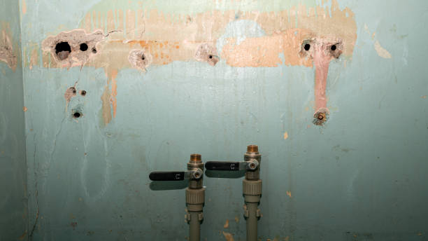 Best Water damage restoration mold remediation  in Burns, TN