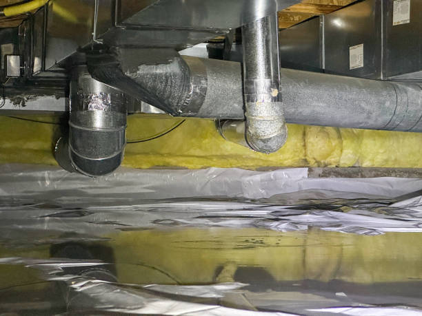 Best Water damage restoration near me  in Burns, TN