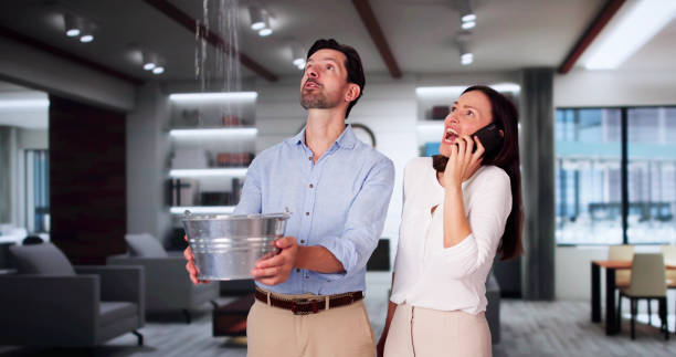 Best Water damage restoration near me  in Burns, TN